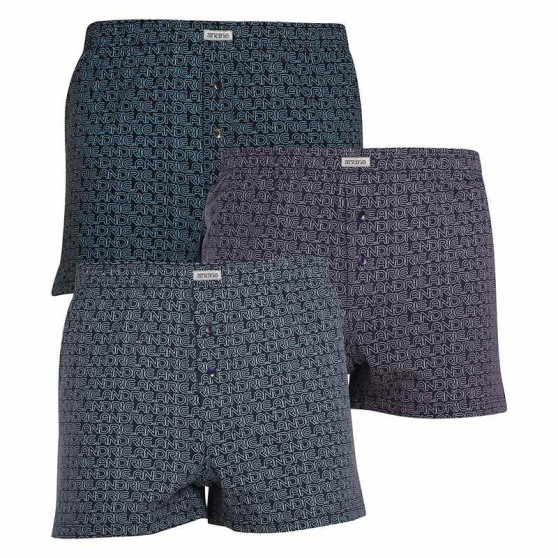 3PACK Boxershorts til mænd Andrie flerfarvet (PS 5627)