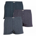 3PACK Boxershorts til mænd Andrie flerfarvet (PS 5627)