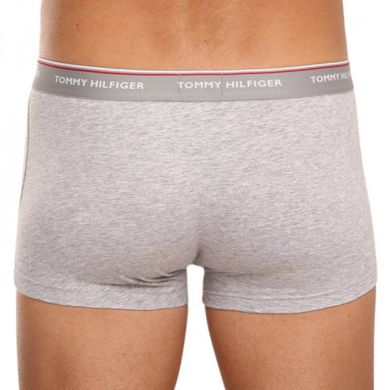 3PACK Boxershorts til mænd Tommy Hilfiger flerfarvet (1U87903841 004)