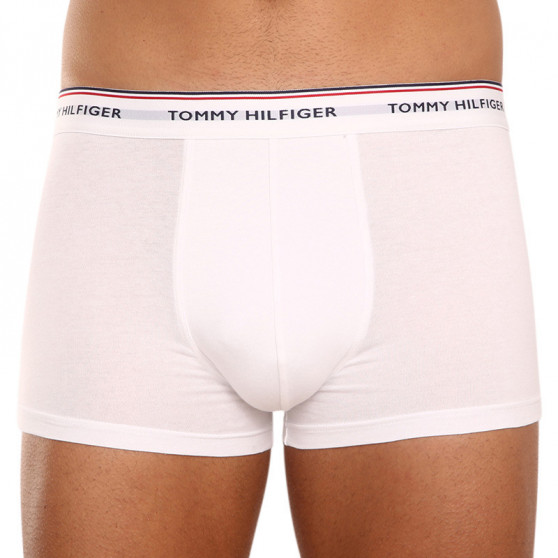 3PACK Boxershorts til mænd Tommy Hilfiger flerfarvet (1U87903841 004)