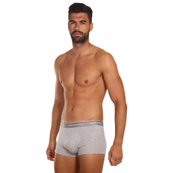 3PACK Boxershorts til mænd Tommy Hilfiger flerfarvet (1U87903841 004)