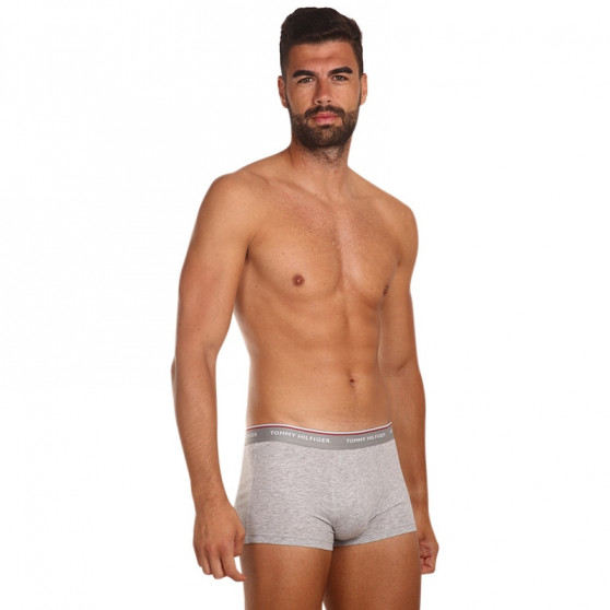 3PACK Boxershorts til mænd Tommy Hilfiger flerfarvet (1U87903841 004)