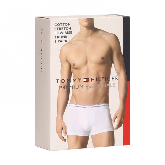 3PACK Boxershorts til mænd Tommy Hilfiger flerfarvet (1U87903841 004)