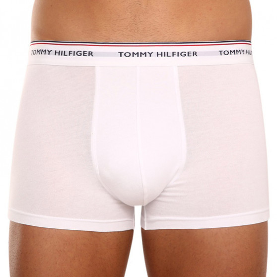 3PACK Boxershorts til mænd Tommy Hilfiger flerfarvet (1U87903842 004)