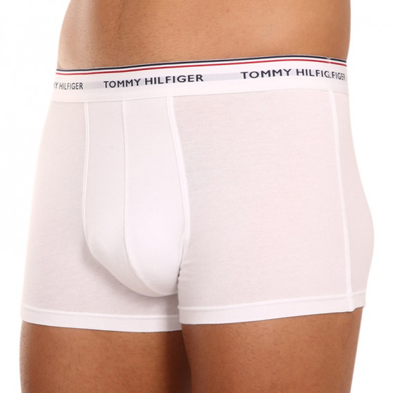 3PACK Boxershorts til mænd Tommy Hilfiger flerfarvet (1U87903842 004)