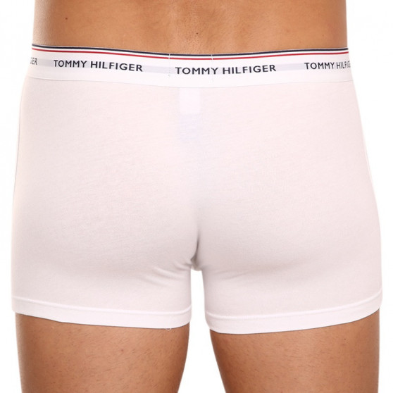 3PACK Boxershorts til mænd Tommy Hilfiger flerfarvet (1U87903842 004)