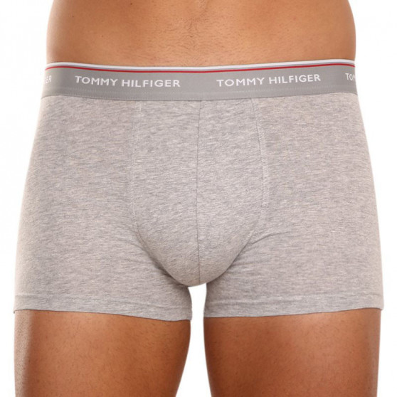 3PACK Boxershorts til mænd Tommy Hilfiger flerfarvet (1U87903842 004)