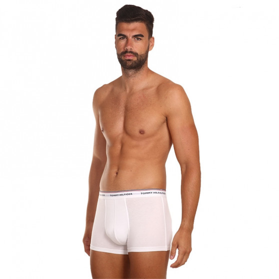 3PACK Boxershorts til mænd Tommy Hilfiger flerfarvet (1U87903842 004)