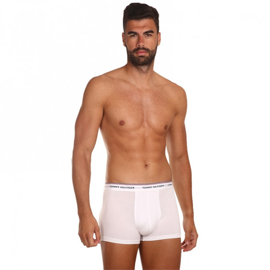 3PACK Boxershorts til mænd Tommy Hilfiger flerfarvet (1U87903842 004)