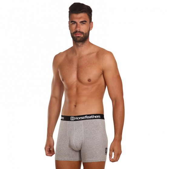 3PACK Boxershorts til mænd Horsefeathers Dynasty heather grey (AM067C)