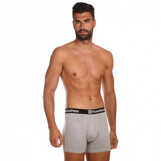 3PACK Boxershorts til mænd Horsefeathers Dynasty heather grey (AM067C)