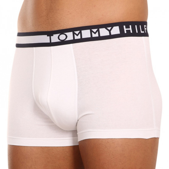 3PACK Boxershorts til mænd Tommy Hilfiger flerfarvet (UM0UM01234 0SA)