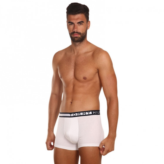 3PACK Boxershorts til mænd Tommy Hilfiger flerfarvet (UM0UM01234 0SA)