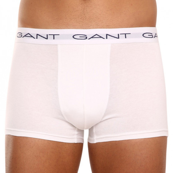 3PACK Boxershorts til mænd Gant flerfarvet (900003003-093)