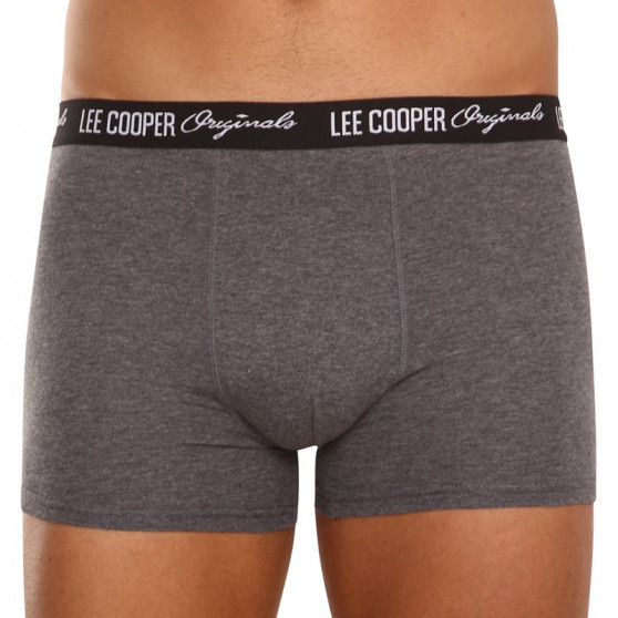 10PACK Boxershorts til mænd Lee Cooper flerfarvet (LCUBOX10P0102-1440169)