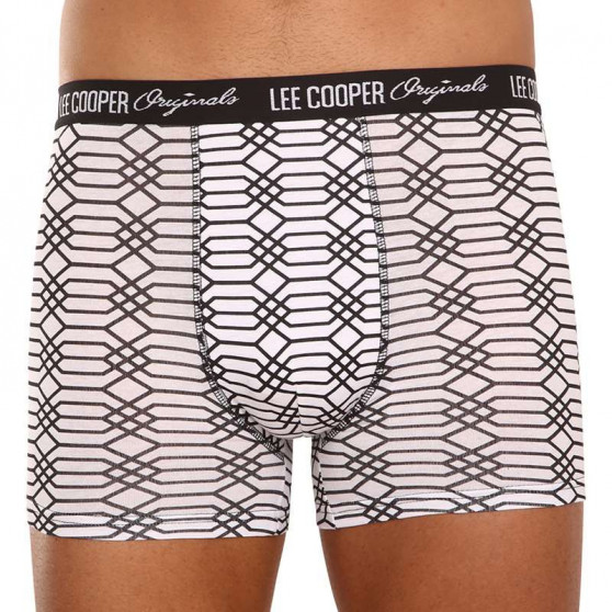 10PACK Boxershorts til mænd Lee Cooper flerfarvet (LCUBOX10P0102-1440169)