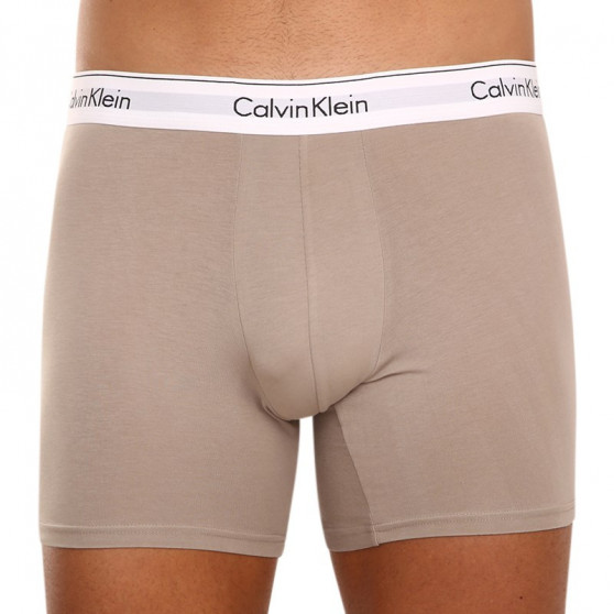 3PACK Boxershorts til mænd Calvin Klein flerfarvet (NB2381A-67A)