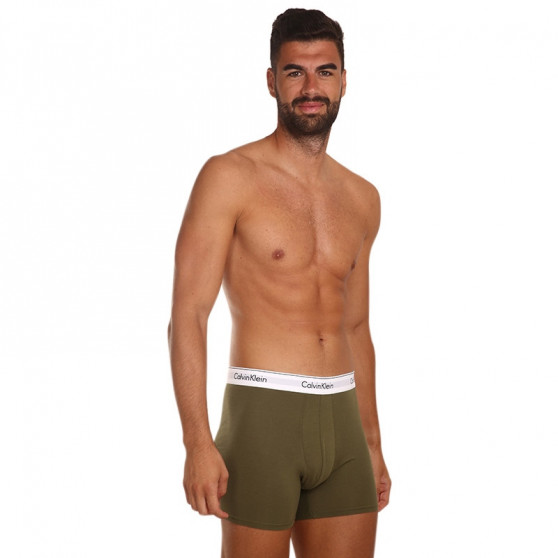 3PACK Boxershorts til mænd Calvin Klein flerfarvet (NB2381A-67A)