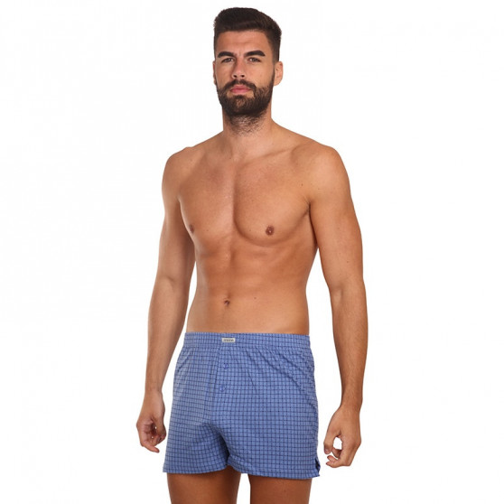 3PACK Boxershorts til mænd Andrie flerfarvet (PS 5641)