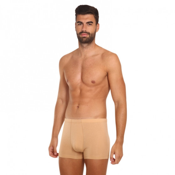 Usynlige boxershorts til mænd Covert beige (153096-410)