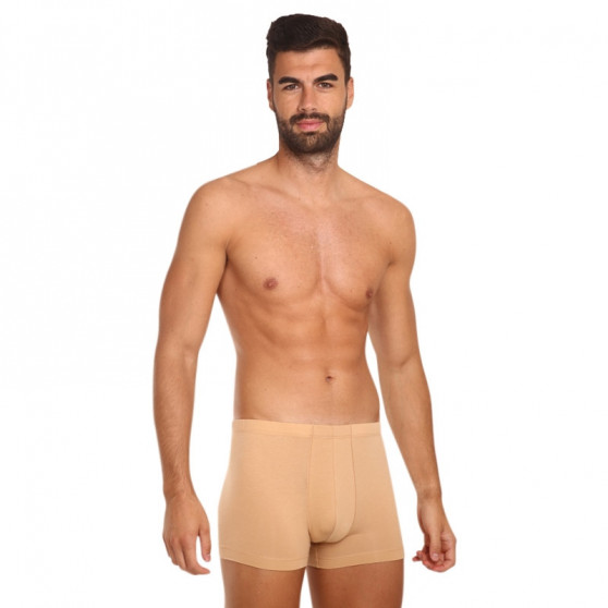 Usynlige boxershorts til mænd Covert beige (153096-410)