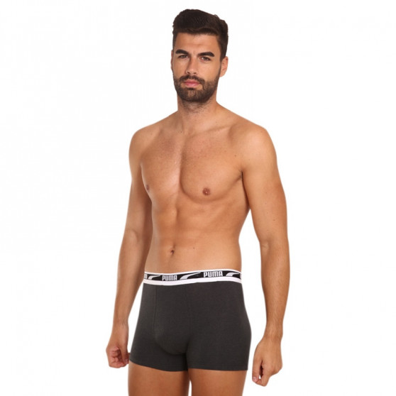 2PACK Boxershorts til mænd Puma flerfarvet (701219366 002)