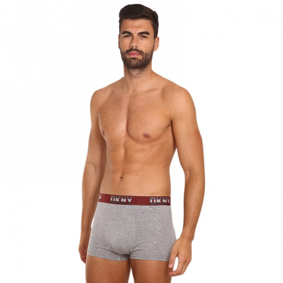 3PACK Boxershorts til mænd DKNY Bellevue flerfarvet (U5_6654_DKY_3PKA)