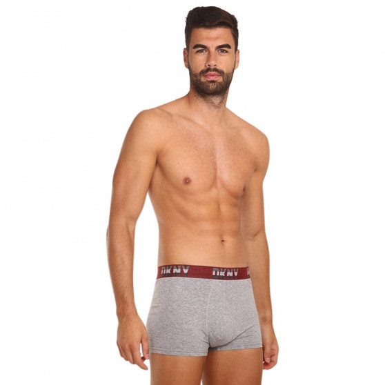 3PACK Boxershorts til mænd DKNY Bellevue flerfarvet (U5_6654_DKY_3PKA)