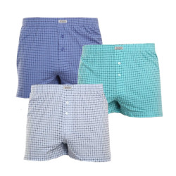 3PACK Boxershorts til mænd Andrie flerfarvet (PS 5641)