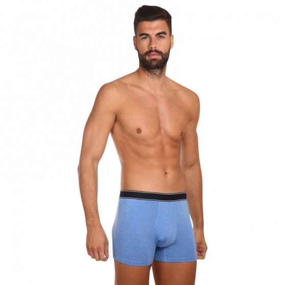 Boxershorts til mænd Andrie blå (PS 5623 B)