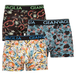 3PACK Boxershorts til mænd Gianvaglia flerfarvet (GVG-5502)