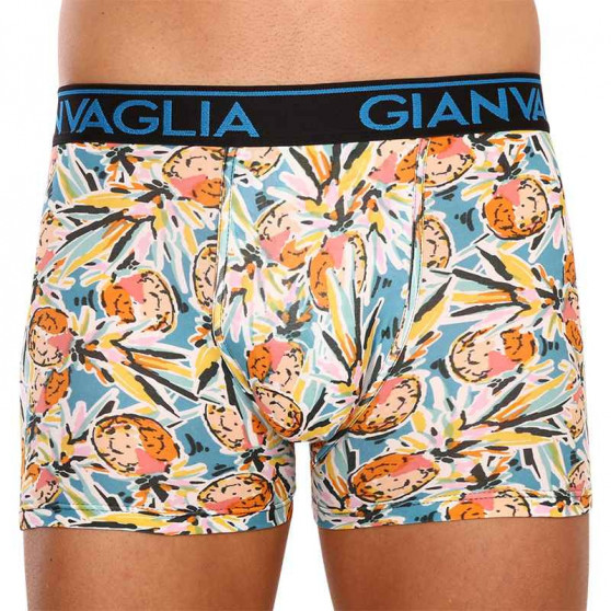 3PACK Boxershorts til mænd Gianvaglia flerfarvet (GVG-5502)