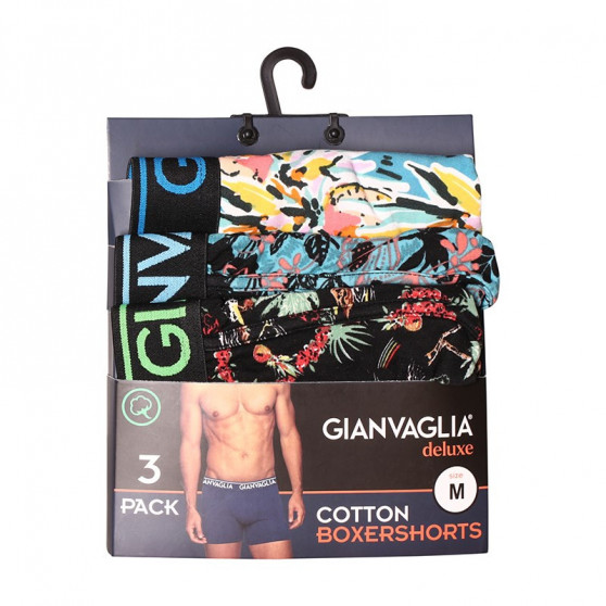 3PACK Boxershorts til mænd Gianvaglia flerfarvet (GVG-5502)