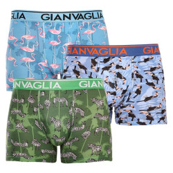 3PACK Boxershorts til mænd Gianvaglia flerfarvet (GVG-5501)