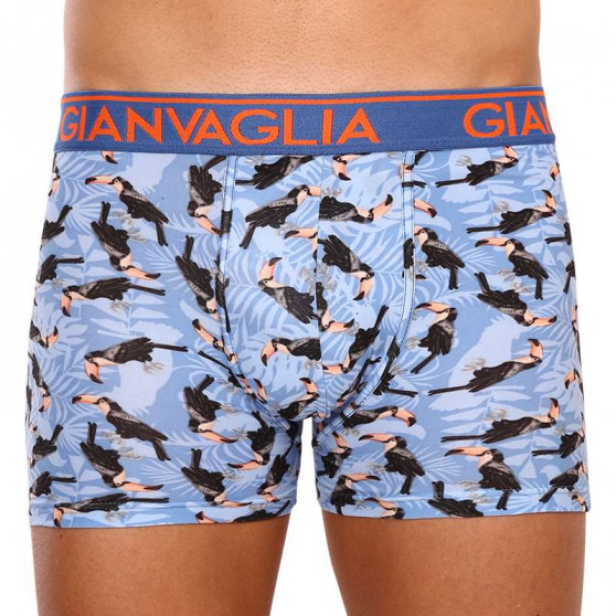 3PACK Boxershorts til mænd Gianvaglia flerfarvet (GVG-5501)