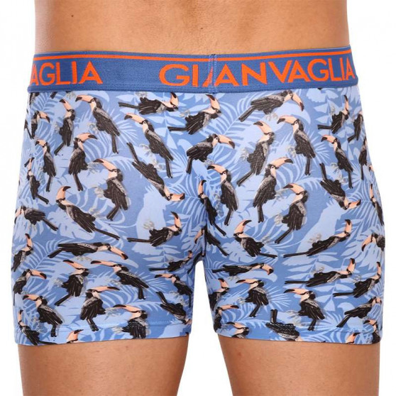 3PACK Boxershorts til mænd Gianvaglia flerfarvet (GVG-5501)