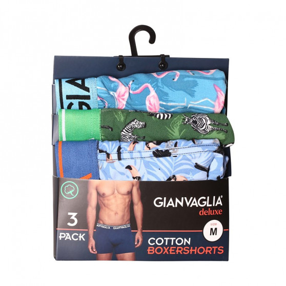 3PACK Boxershorts til mænd Gianvaglia flerfarvet (GVG-5501)