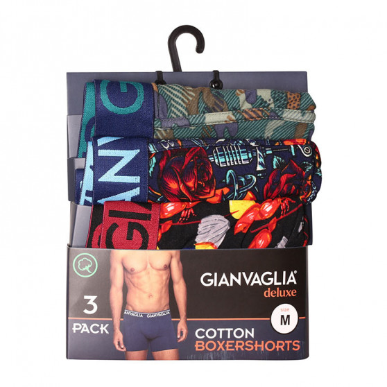 3PACK Boxershorts til mænd Gianvaglia flerfarvet (GVG-5506)