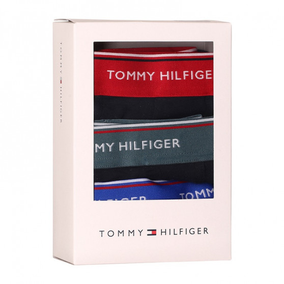 3PACK Boxershorts til mænd Tommy Hilfiger mørkeblå (UM0UM01642 0SN)