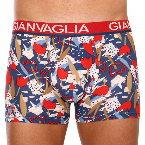 5PACK Boxershorts til mænd Gianvaglia flerfarvet (GVG-5063)