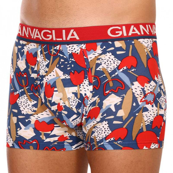 5PACK Boxershorts til mænd Gianvaglia flerfarvet (GVG-5063)