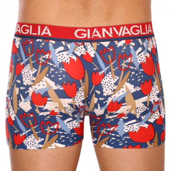 5PACK Boxershorts til mænd Gianvaglia flerfarvet (GVG-5063)