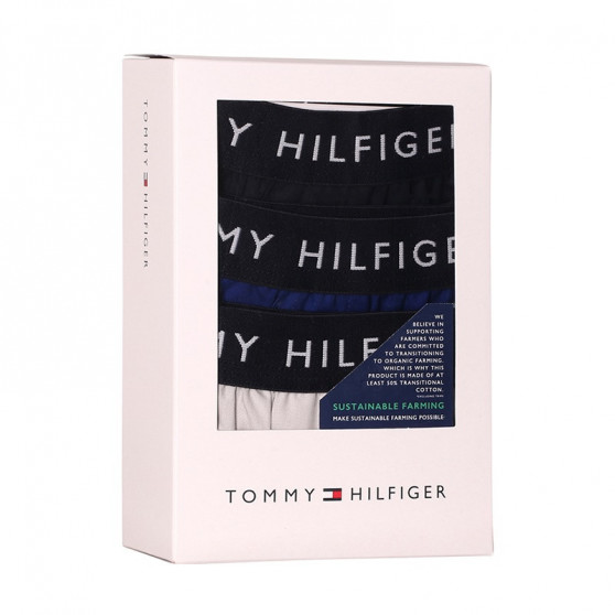 3PACK Boxershorts til mænd Tommy Hilfiger flerfarvet (UM0UM02327 0UK)