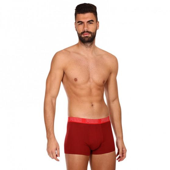 2PACK Boxershorts til mænd Puma flerfarvet (100000884 045)