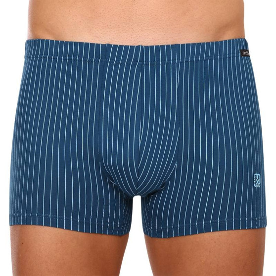 Boxershorts til mænd Andrie blå (PS 5649 A)