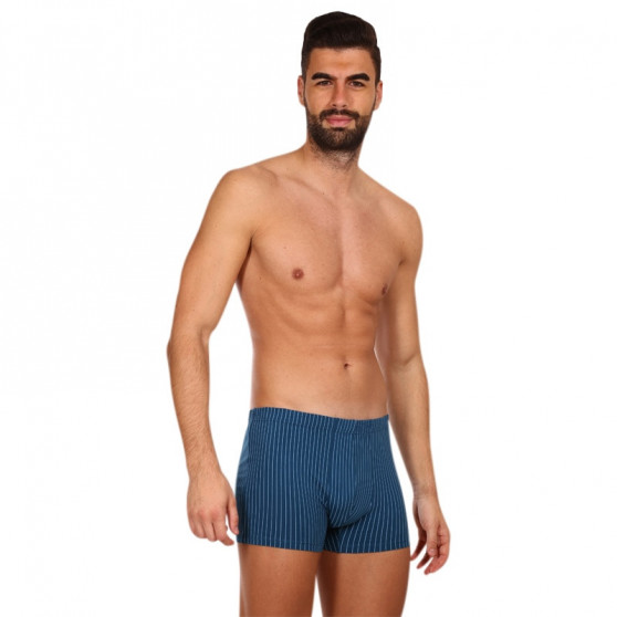 Boxershorts til mænd Andrie blå (PS 5649 A)