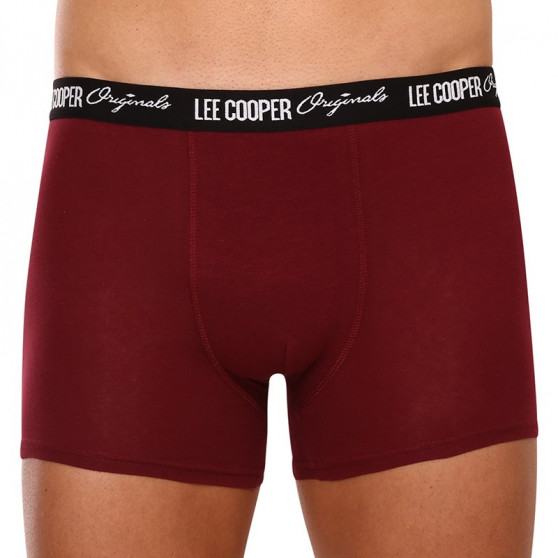 10PACK Boxershorts til mænd Lee Cooper flerfarvet (LCUBOX10P0105-1769864)