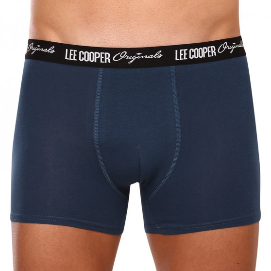 10PACK Boxershorts til mænd Lee Cooper flerfarvet (LCUBOX10P0105-1769864)