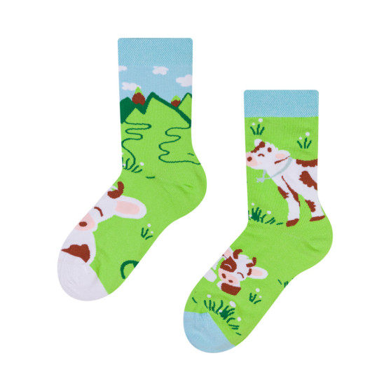 Happy Baby Socks Dedoles Happy Cow (D-K-SC-RS-C-C-1571)