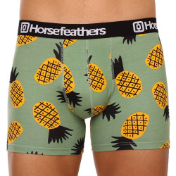 Boxershorts til mænd Horsefeathers Sidney Pineapple (AM164G)